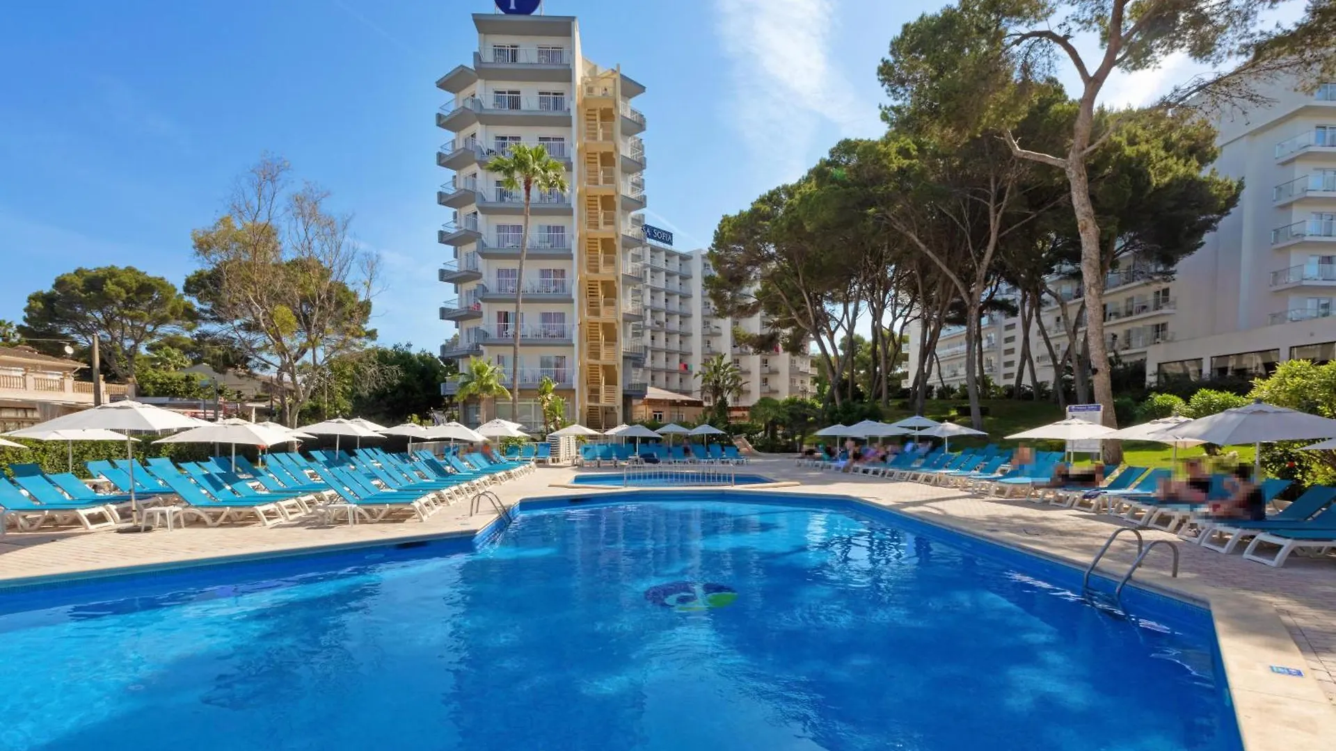 15 Hoteles Cerca del Acuario de Palma que Convienen si Vuelas