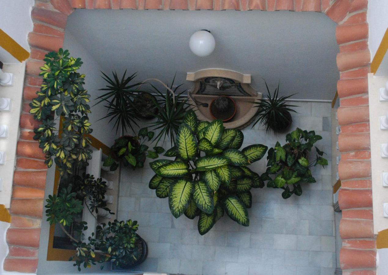 Alojarse en Cádiz Provincia: 15 Hoteles Céntricos Comparados